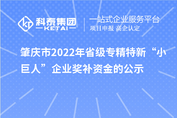 肇慶市2022年省級專精特新“小巨人”企業獎補資金的公示