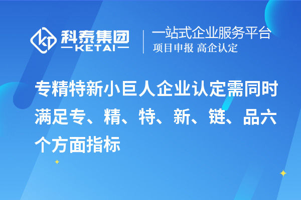 專精特新小巨人企業認定需同時滿足專、精、特、 新、鏈、品六個方面指標