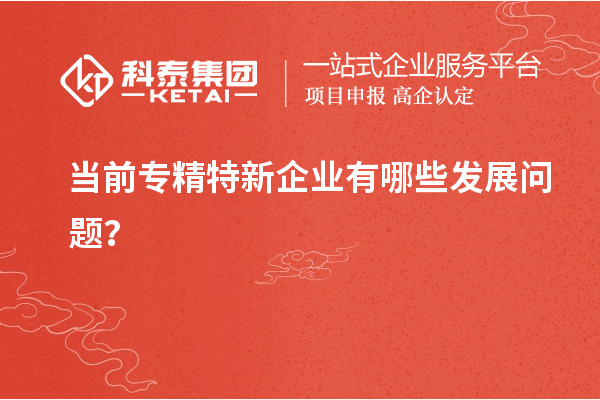 當前專精特新企業有哪些發展問題？