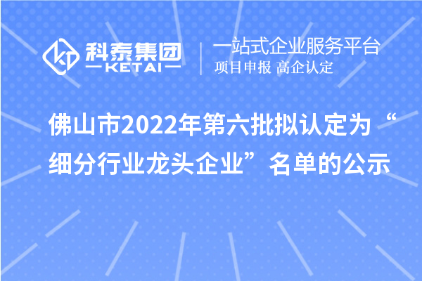 佛山市2022年第六批擬認定為“細分行業龍頭企業”名單的公示