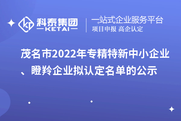 茂名市2022年專精特新中小企業、瞪羚企業擬認定名單的公示