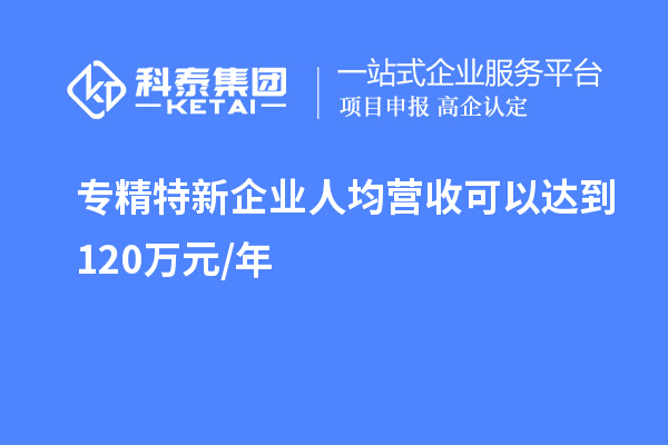 專精特新企業人均營收可以達到 120萬元/年