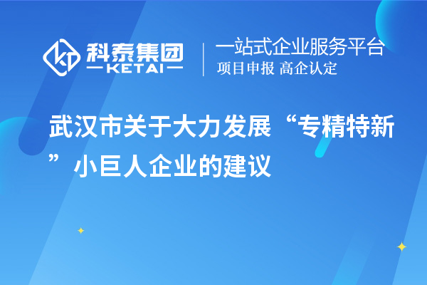 武漢市關于大力發展“專精特新”小巨人企業的建議