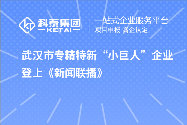 武漢市專精特新“小巨人”企業登上《新聞聯播》