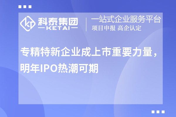 專精特新企業成上市重要力量，明年IPO熱潮可期