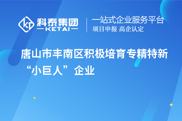 唐山市豐南區積極培育專精特新“小巨人”企業