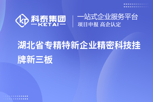 湖北省專精特新企業(yè)精密科技掛牌新三板