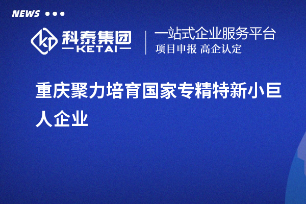 重慶聚力培育國家專精特新小巨人企業