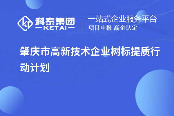 肇慶市高新技術企業樹標提質行動計劃（最新原文）