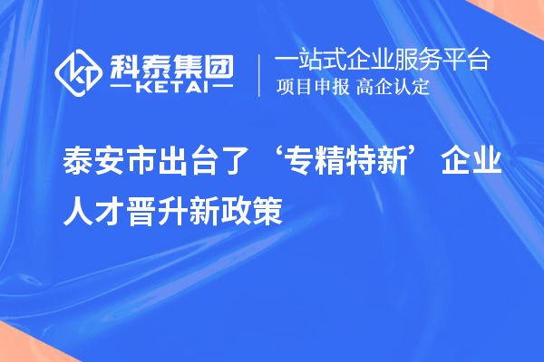 泰安市出臺了‘專精特新’企業人才晉升新政策