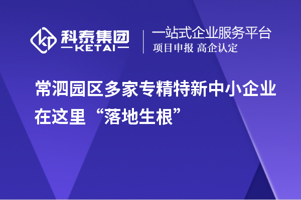 常泗園區多家專精特新中小企業在這里“落地生根”