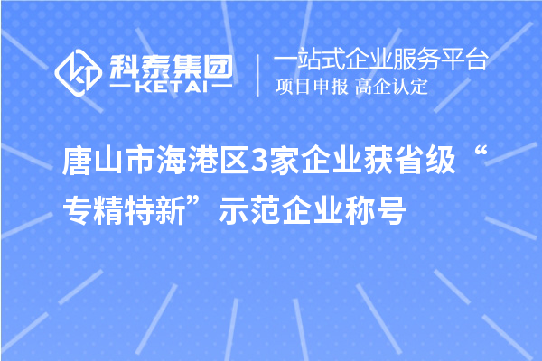 唐山市海港區(qū)3家企業(yè)獲省級“專精特新”示范企業(yè)稱號