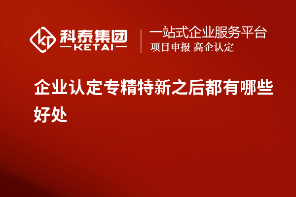 企業認定專精特新之后都有哪些好處