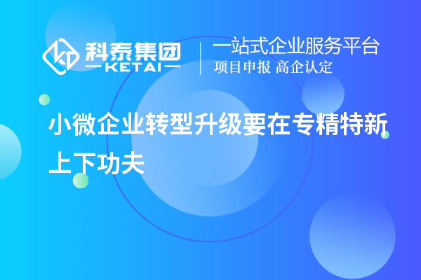 小微企業轉型升級要在專精特新上下功夫