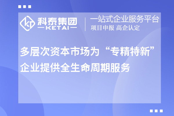 多層次資本市場為“專精特新”企業提供全生命周期服務