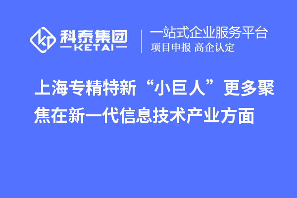 上海專精特新“小巨人”更多聚焦在新一代信息技術(shù)產(chǎn)業(yè)方面