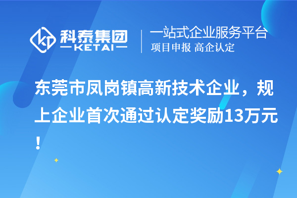 東莞市鳳崗鎮高新技術企業，規上企業首次通過認定獎勵13萬元！