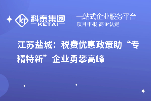 江蘇鹽城：稅費優惠政策助“專精特新”企業勇攀高峰