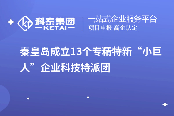 秦皇島成立13個專精特新“小巨人”企業科技特派團