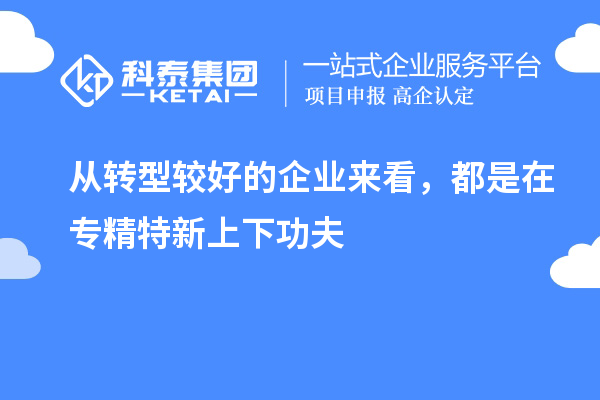 從轉型較好的企業來看，都是在專精特新上下功夫