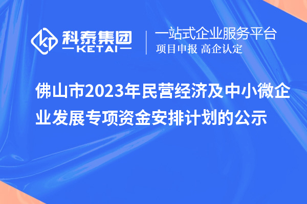 佛山市2023年民營經(jīng)濟及中小微企業(yè)發(fā)展專項資金安排計劃的公示