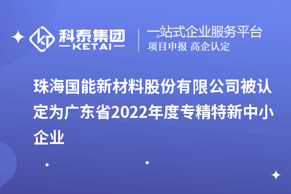 國能新材被認定為廣東省2022年度專精特新中小企業