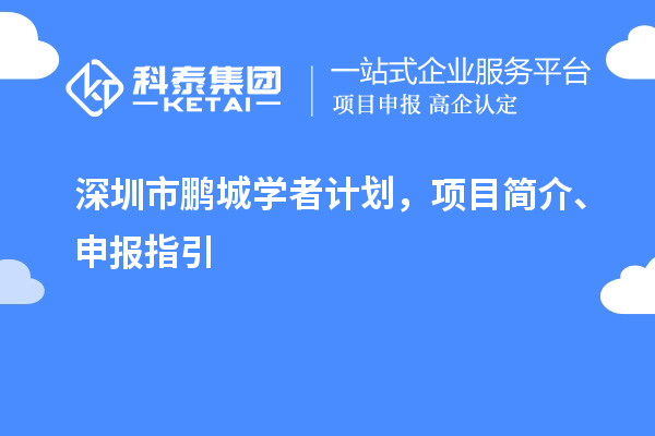 深圳市鵬城學者計劃，項目簡介、申報指引