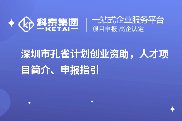 深圳市孔雀計劃創業資助，人才項目簡介、申報指引