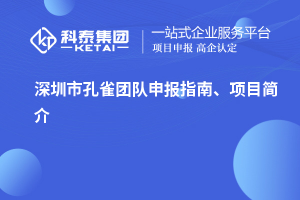 深圳市孔雀團隊申報指南、項目簡介