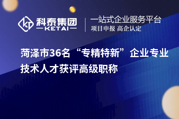 菏澤市36名“專精特新”企業(yè)專業(yè)技術(shù)人才獲評高級職稱