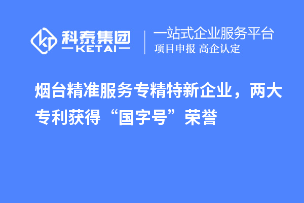 煙臺精準(zhǔn)服務(wù)專精特新企業(yè)，兩大專利獲得“國字號”榮譽