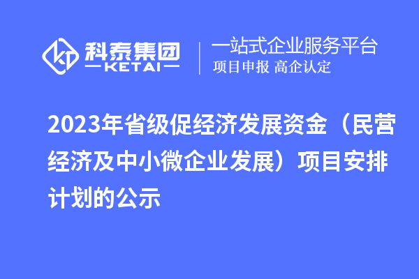 2023年省級促經濟發展資金（民營經濟及中小微企業發展）項目安排計劃的公示