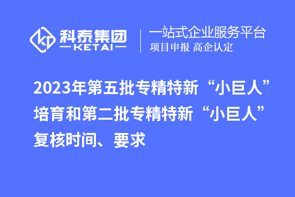 2023年第五批專精特新“小巨人”培育和第二批專精特新“小巨人”復(fù)核時(shí)間、要求