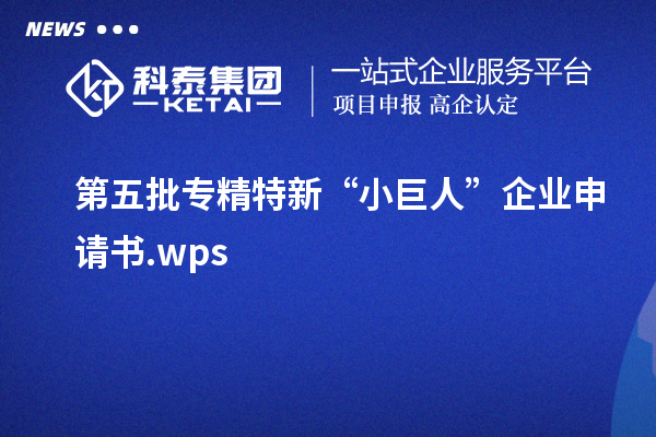 第五批專精特新“小巨人”企業申請書.wps