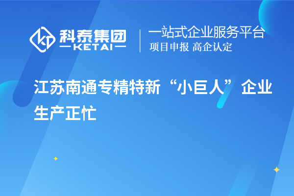 江蘇南通專精特新“小巨人”企業生產正忙