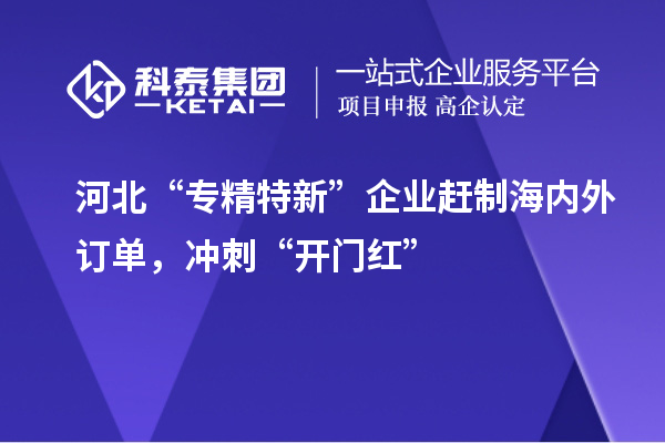 河北“專精特新”企業趕制海內外訂單，沖刺“開門紅”