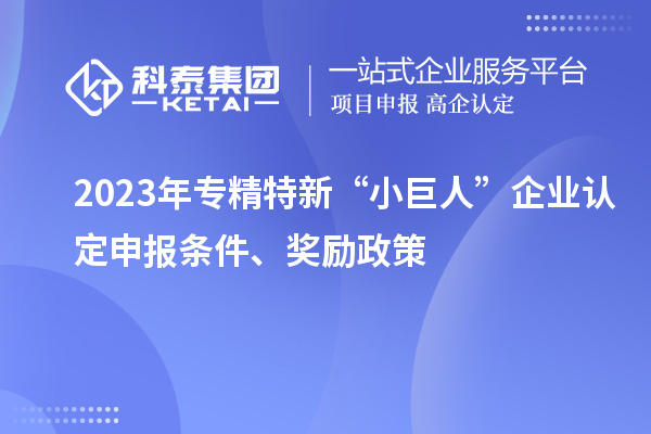 2023年專精特新“小巨人”企業(yè)認(rèn)定申報(bào)條件、獎勵政策