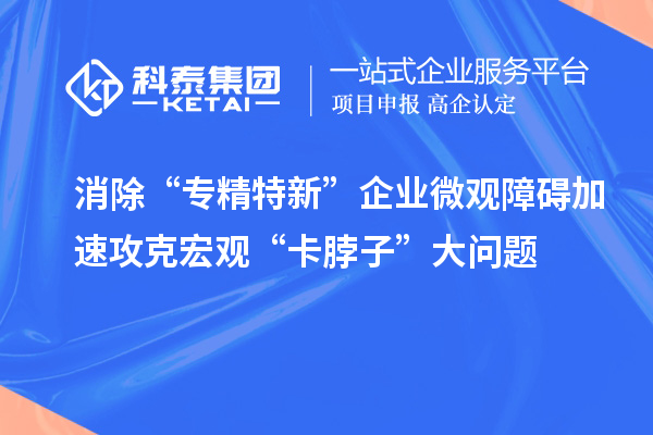 消除“專精特新”企業(yè)微觀障礙 加速攻克宏觀“卡脖子”大問題