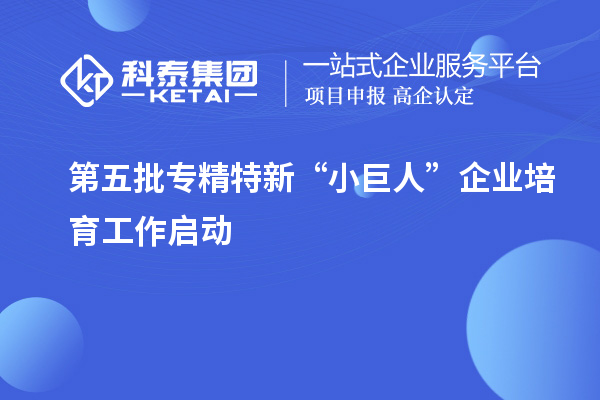 第五批專精特新“小巨人”企業培育工作啟動