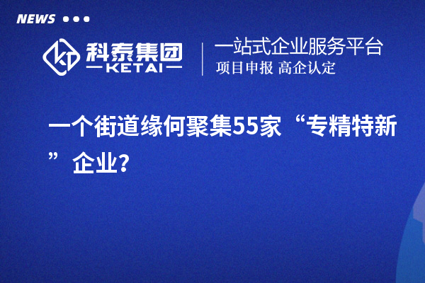 一個(gè)街道緣何聚集55家“專精特新”企業(yè)？