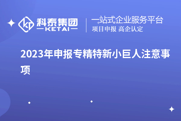 2023年申報專精特新小巨人注意事項