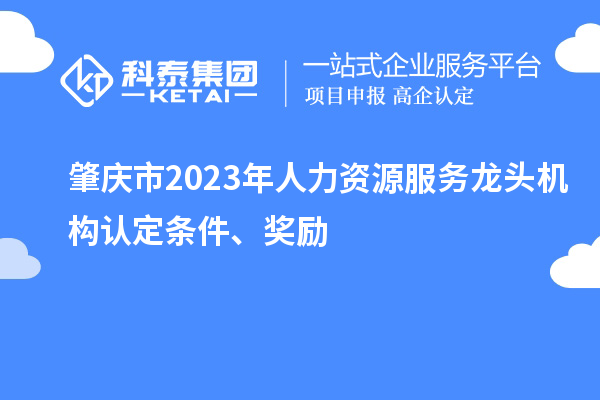 肇慶市2023年人力資源服務(wù)龍頭機構(gòu)認(rèn)定條件、獎勵