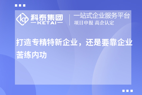 打造專精特新企業(yè)，還是要靠企業(yè)苦練內(nèi)功