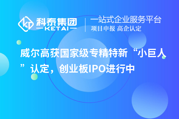 威爾高獲國家級專精特新“小巨人”認定，創業板IPO進行中