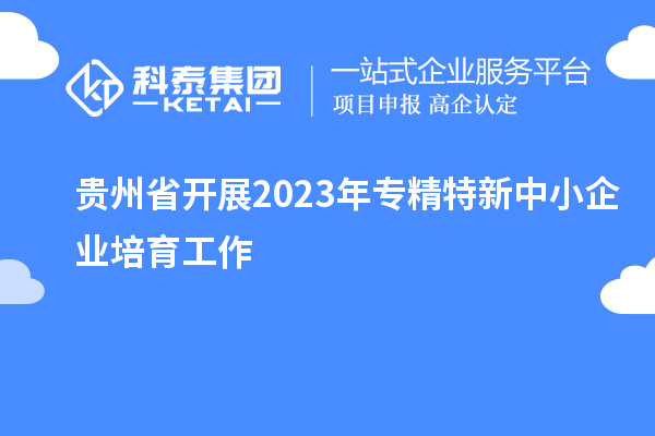 貴州省開展2023年專精特新中小企業培育工作