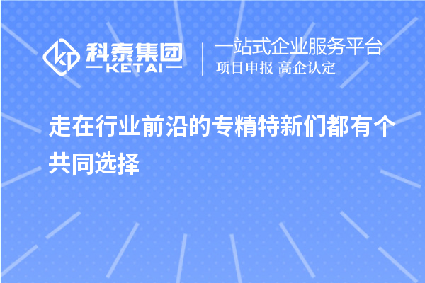 走在行業前沿的專精特新們都有個共同選擇