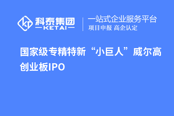 國家級專精特新“小巨人”威爾高創業板IPO