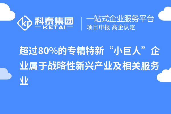 超過80%的專精特新“小巨人”企業屬于戰略性新興產業及相關服務業