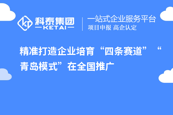 精準打造企業培育“四條賽道” “青島模式”在全國推廣