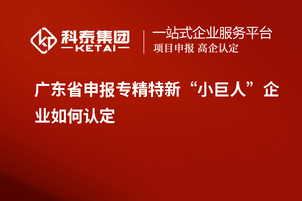 廣東省申報專精特新“小巨人”企業(yè)如何認(rèn)定